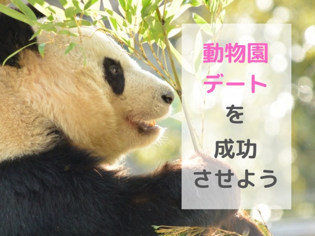 動物園デートを成功させよう 服装 準備のポイントとおすすめの動物 占いぱとら