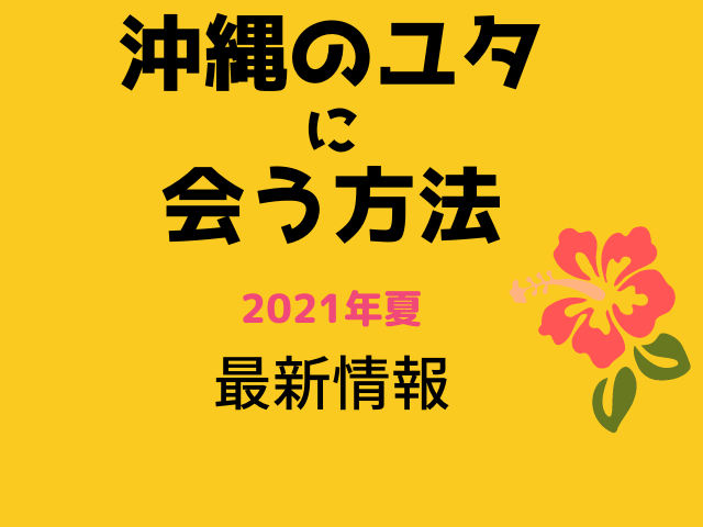 沖縄のユタに会う方法 21年度版 最新情報付きで紹介します 占いぱとら